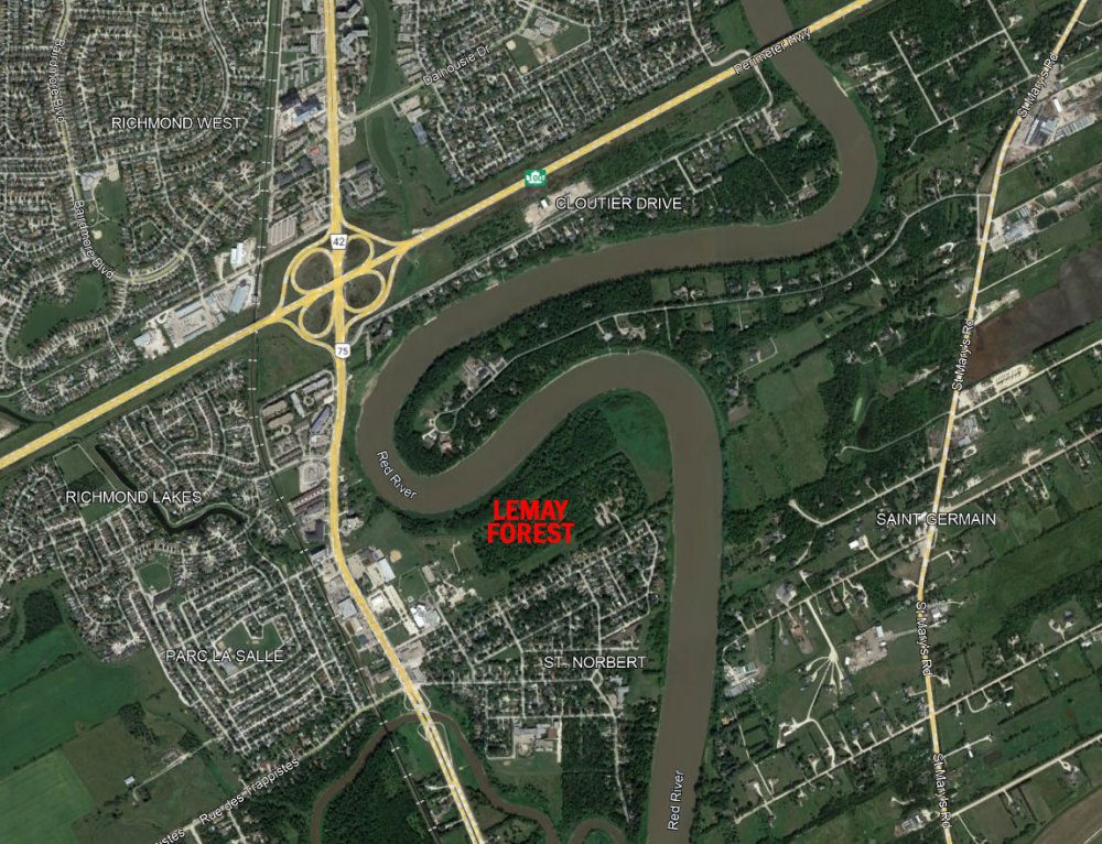 The land referred to as Lemay Forest is located next to the southwest shores of the Red River, east of De La Digue Avenue, west of Villa Maria Place, and north of Lemay Avenue. (Winnipeg Free Press / Google Earth)