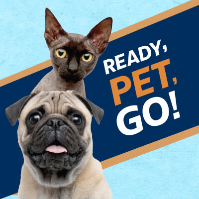 Sign up for Ready, Pet, Go!