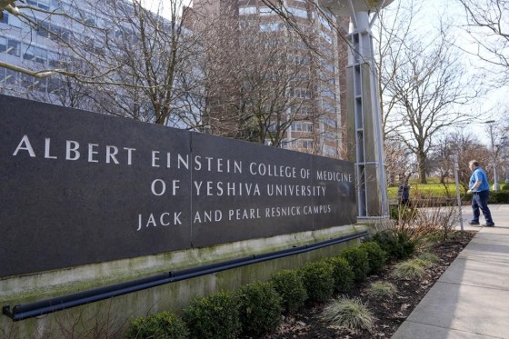 The campus of the Albert Einstein College of Medicine in the Bronx borough of New York. (Mary Altaffer / The Associated Press)