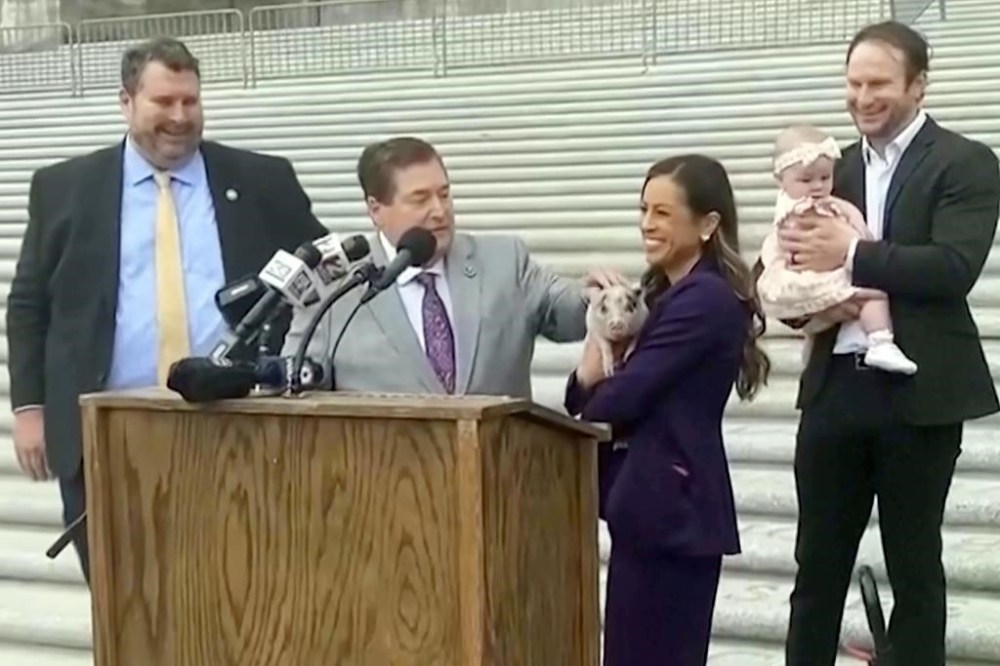 In this image taken from video, Louisiana state Rep. Lauren Ventrella, who adopted the piglet dubbed Earl “Piglet” Long, smiles alongside Lt. Gov. Billy Nungesser, Wednesday, Feb. 28, 2024, in Baton Rouge, La. The baby pig, who was rescued after being tossed like a football near a Mardi Gras event in New Orleans, was “pardoned” Wednesday and has found a permanent home with the Louisiana lawmaker (AP Photo/Sara Cline)