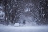 A person bundled up for the cold weather walks through blowing snow in Regina, on Sunday, March 3, 2024. White-out conditions across much of the Prairies has forced highways to close, disrupted flights and prompted the mayor of one city to ask anyone without a vehicle equipped with four-wheel drive to stay home. THE CANADIAN PRESS/Darryl Dyck