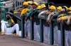 Oakland Athletics players watch from the dugout during the third inning of a spring training baseball game against the Colorado Rockies, Saturday, Feb. 24, 2024, in Mesa, Ariz. (AP Photo/Matt York)