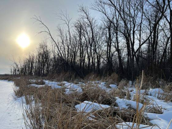 The 193 acres of land locate near Ste. Rita includes an abundance of plant and animal life spread across forested peatlands, mineral wetlands and a portion of the Hazel Creek and its floodplain areas. (Submitted)