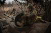 Ukrainian soldiers prepare a self-propelled artillery vehicle Gvozdika to fire towards the Russian positions on the frontline in the Donetsk region, Ukraine, Friday, Feb. 16, 2024. (Roman Chop via AP)
                                Roman Chop / The Associated Press
                                Ukrainian soldiers prepare a Gvozdika self-propelled artillery vehicle to fire towards Russian positions on the front line in the Donetsk region on Feb. 16.