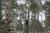 An activist sets up tree houses near the Tesla Gigafactory for electric cars in Gruenheide near Berlin, Germany, Tuesday, March 5, 2024. Production at Tesla's electric vehicle plant in Germany came to a standstill and workers were evacuated after a power outage that officials suspect was caused by arson. The interior ministry in the state of Brandenburg says unidentified people are suspected of deliberately setting fire to a high-voltage transmission line on a power pylon. (AP Photo/Ebrahim Noroozi)