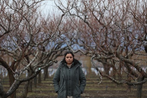 Jennifer Deol, the co-owner of There and Back Again Farms, stands near the farm’s peach orchard in Kelowna, B.C., on Tuesday, March 5, 2024. B.C. farmers are predicting at least a 90 per cent loss of this summer's harvest of fruit including peaches, apricots and nectarines. THE CANADIAN PRESS/Aaron Hemens