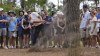 Wynham Clark hits from the rough on the second hole during the third round of The Players Championship golf tournament Saturday, March 16, 2024, in Ponte Vedra Beach, Fla. (AP Photo/Lynne Sladky)