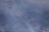 Humanitarian aid is airdropped to Palestinians in Gaza City, Gaza Strip, on Sunday, March 17, 2024. (AP Photo/Mohammed Hajjar)
