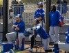 Toronto Blue Jays players (left to right) Justin Turner, Bo Bichette, Jordan Romano and Vladimir Guerrero Jr. watch batting practice in Dunedin, Fla. on Thursday, Feb. 22, 2024. There was no roster makeover, blockbuster trade or eye-popping free-agent signing for the Blue Jays this past off-season. The club is essentially running it back with virtually the same core as last year and hoping the bats return to form. THE CANADIAN PRESS/Frank Gunn