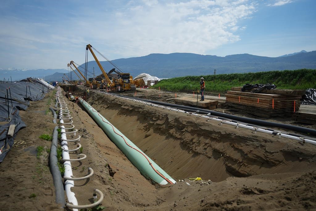 Emissions cap could hurt Trans Mountain pipeline’s sale price Calgary