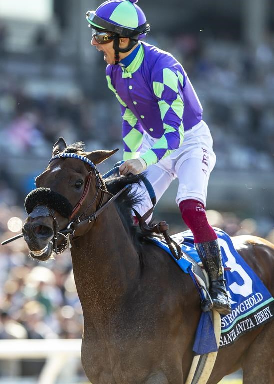 In a photo provided by Benoit Photo, Stronghold and jockey Antonio Fresu win the Grade I, $750,000 Santa Anita Derby horse race Saturday, April 6, 2024, at Santa Anita in Arcadia, Calif. (Benoit Photo via AP)