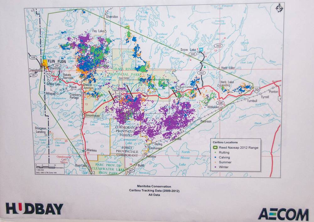 Caribou collar data for Grass River Provincial Park area released by HudBay in 2013 for the Reed Mine.