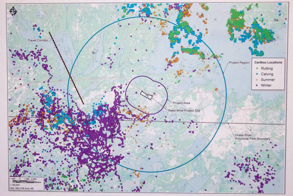 Caribou collar data near Reed Lake released by HudBay in 2013 for the Reed Mine.