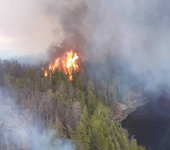 A forest fire near Pauingassi First Nation on May 28, 2019. (Province of Manitoba)