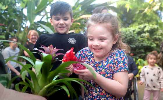 Laine Ruminski and her cousin Jacob Cross learn about how exotic bromeliads collect water in their cupped leaves while at The Leaf taking part in activities for kids during spring break. (Ruth Bonneville / Free Press)