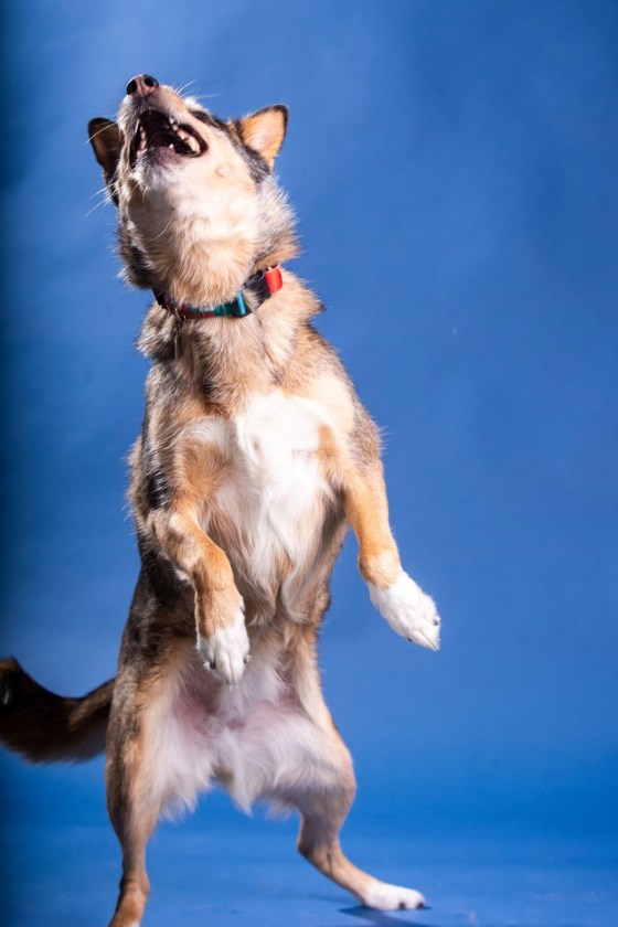 Eva Wasney's Quinn (Mikaela MacKenzie / Free Press)