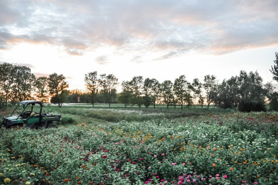 Garden Path Flowers flower farm (Marianne Bergmann photo)