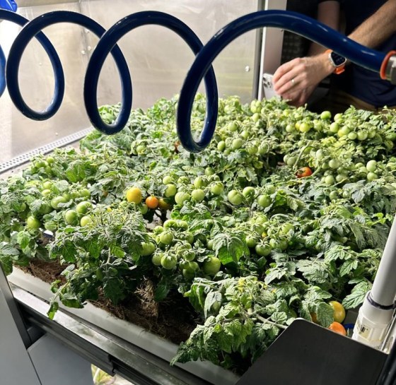 The CanGrow Modular Food Production System by Ecoation Innovative Solutions (Supplied / Ecoation-Saber Miresmailli)