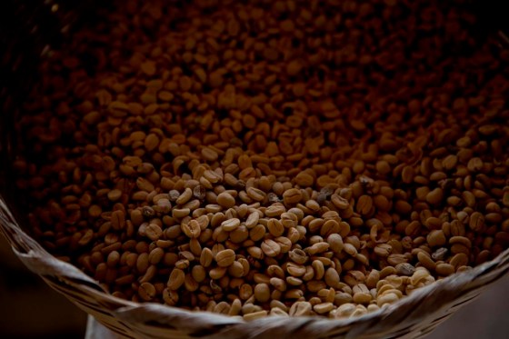 Arabica coffee beans in Ciudad Vieja, Guatemala. (Moises Castillo / The Associated Press files)
