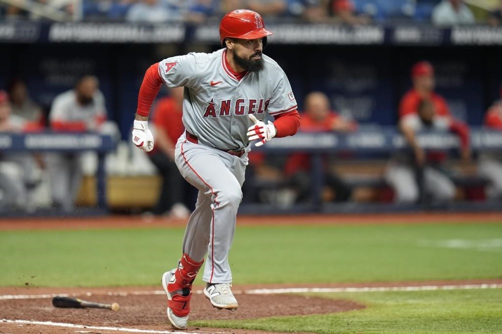 Los Angeles Angels' Anthony Rendon watches his single off Tampa Bay Rays relief pitcher Phil Maton during the eighth inning of a baseball game Thursday, April 18, 2024, in St. Petersburg, Fla. (AP Photo/Chris O'Meara)
