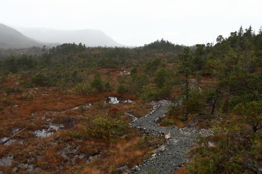 (The Canadian Press)