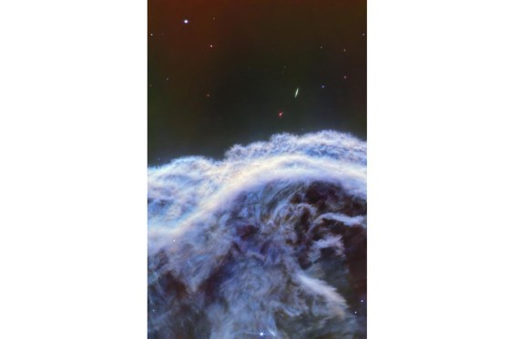 This image of the Horsehead Nebula from NASA's James Webb Space Telescope focuses on a portion of the horse's
