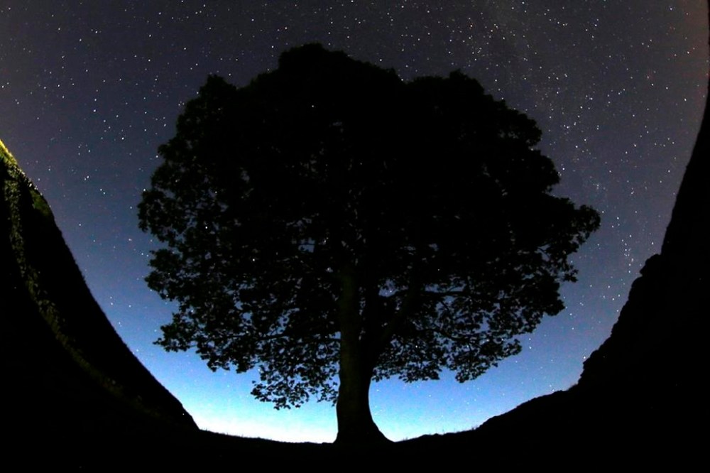 FILE - A general view of the stars above Sycamore Gap prior to the Perseid Meteor Shower above Hadrian's Wall near Bardon Mill, England, Wednesday, Aug. 12, 2015. Two men have been charged with causing criminal damage for cutting down a popular 150-year-old tree next to Hadrian's Wall and featured in a Kevin Costner’s 1991 film “Robin Hood: Prince Of Thieves,” prosecutors said Monday April 29, 2024. Daniel Graham and Adam Carruthers were also charged with damaging the wall that was built in AD 122 by Emperor Hadrian to to guard the north-west frontier of the Roman Empire. (AP Photo/Scott Heppell, File)