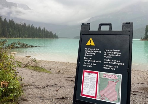 The Columbia River watershed in B.C. has been declared an infected area for whirling disease, a parasite that causes deformities in fish and has a high mortality rate. Yoho National Park signage warning of whirling disease is shown in an undated handout image. THE CANADIAN PRESS/HO-Parks Canada, **MANDATORY CREDIT**