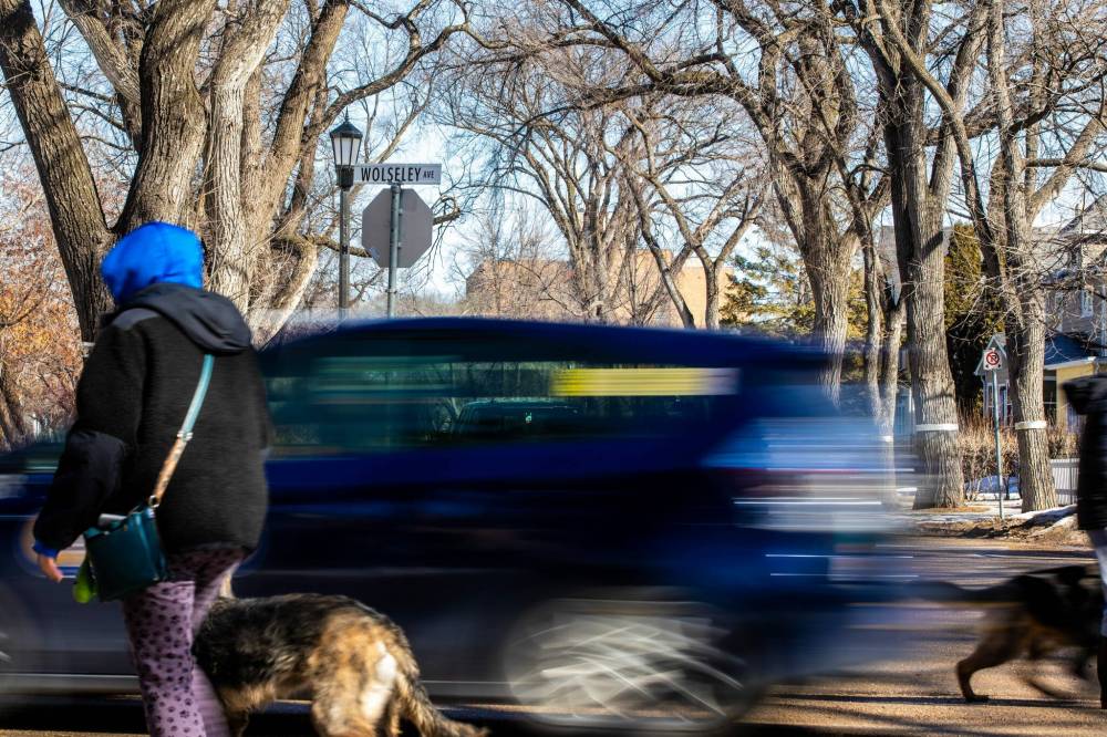 MIKAELA MACKENZIE / FREE PRESS
Cars, pedestrians, and cyclists compete for space on Wolseley Avenue. A proposal would reduce speed to 30 km/h seven days a week.