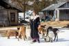 MIKAELA MACKENZIE / FREE PRESS
                                Leiah Bauer runs a goat farm and makes her unique Apothecandy brand goat-milk soaps on her property near Richer.