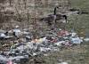 JOHN WOODS / FREE PRESS Garbage strewn along Waterfront Drive at Fort Douglas Park is photographed Monday, April 22, 2024. Residents Of The Exchange group are dismayed to see the city designated naturalization area in such condition. Reporter: Nicole