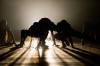 DANIEL CRUMP PHOTO
                                T’əl: The Wild Man of the Woods is the world première of Canadian choreographer Cameron Fraser-Monroe.