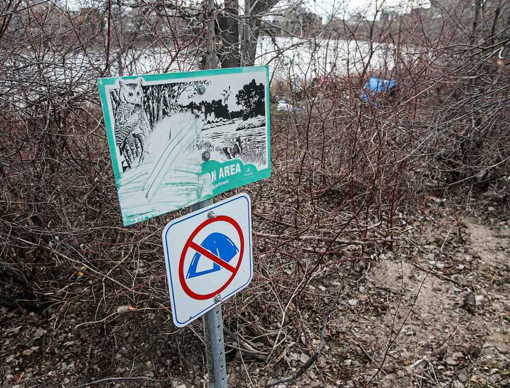 JOHN WOODS / FREE PRESS
Stephen Juba Park and Fort Douglas Park are designated naturalization areas, designed to provide a buffer zone that encourages native plant species to grow and spread in an effort to boost biodiversity.