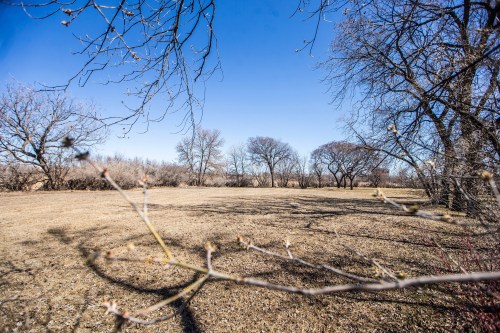 MIKAELA MACKENZIE / FREE PRESS
The space that will become the green burial site at Brookside cemetery on Tuesday, April 23, 2024.