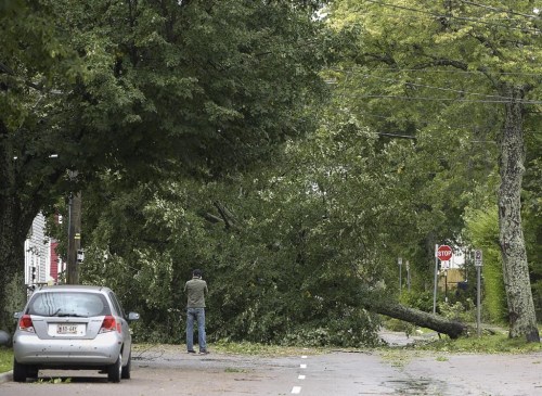 The P.E.I. government has introduced a new suite of online tools to help Islanders assess flooding and erosion risks associated with climate change. A man takes a photo of a fallen tree in Charlottetown on Sunday, Sept. 8, 2019, in the aftermath of Hurricane Dorian. THE CANADIAN PRESS/Nathan Rochford