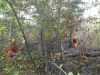 Quebec forest fire workers have voted 99 per cent for a strike mandate as the summer wildfire season approaches. Firefighters work in a forest in Normetal, Que., in a June 11, 2023, handout photo. THE CANADIAN PRESS/HO-SOPFEU, Caroline Boyaud, *MANDATORY CREDIT*