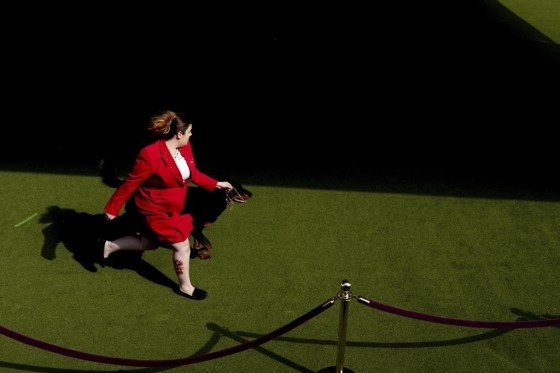 A handler runs with a dog during breed group judging at the 148th Westminster Kennel Club Dog show, Monday, at the USTA Billie Jean King National Tennis Center in New York. (Julia Nikhinson / The Associated Press files)