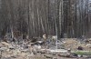 A wildfire that forced thousands of residents to flee homes in Fort McMurray is sending plumes of smoke into the air, but the regional fire chief says it's much different from a devastating blaze that crippled the Alberta city in 2016. Crews work to clean up the wildfire destruction in Fort McMurray, Alta, on Friday, June 24, 2016. THE CANADIAN PRESS/Jason Franson