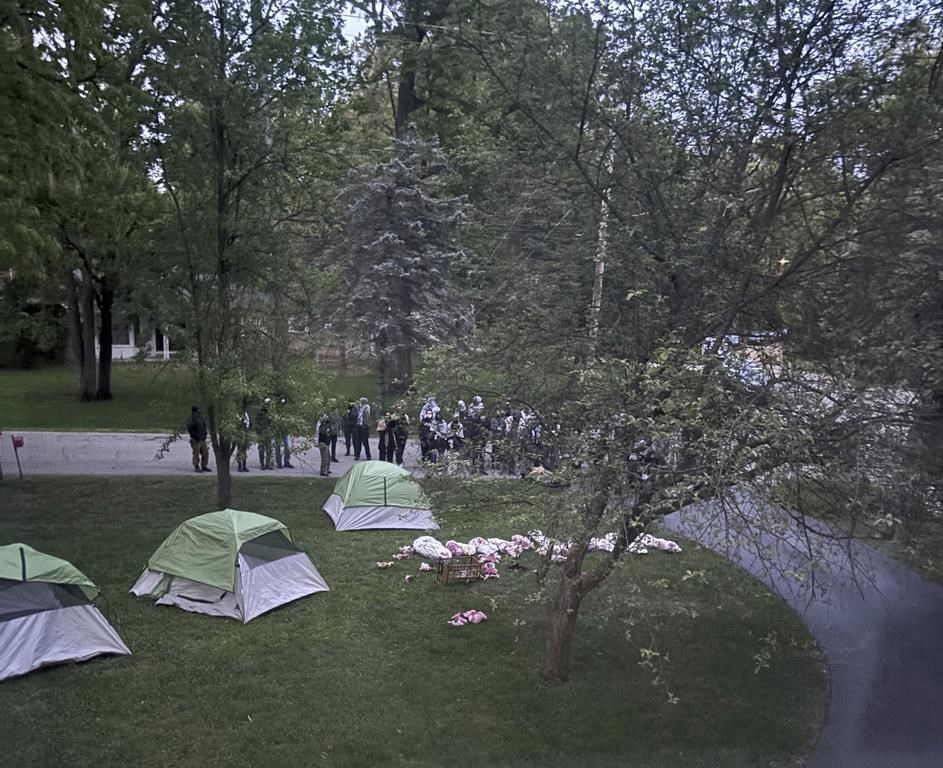 This photo provided by Sarah Hubbard shows pro-Palestinian protesters in Okemos, Mich., demonstrating outside the home of Sarah Hubbard, the chair of the University of Michigan's governing board, on Wednesday, May 15, 2024. They set up tents and placed fake bloody corpses on her lawn. They want the university to get rid of any investments in companies connected to Israel. (Sarah Hubbard via AP)