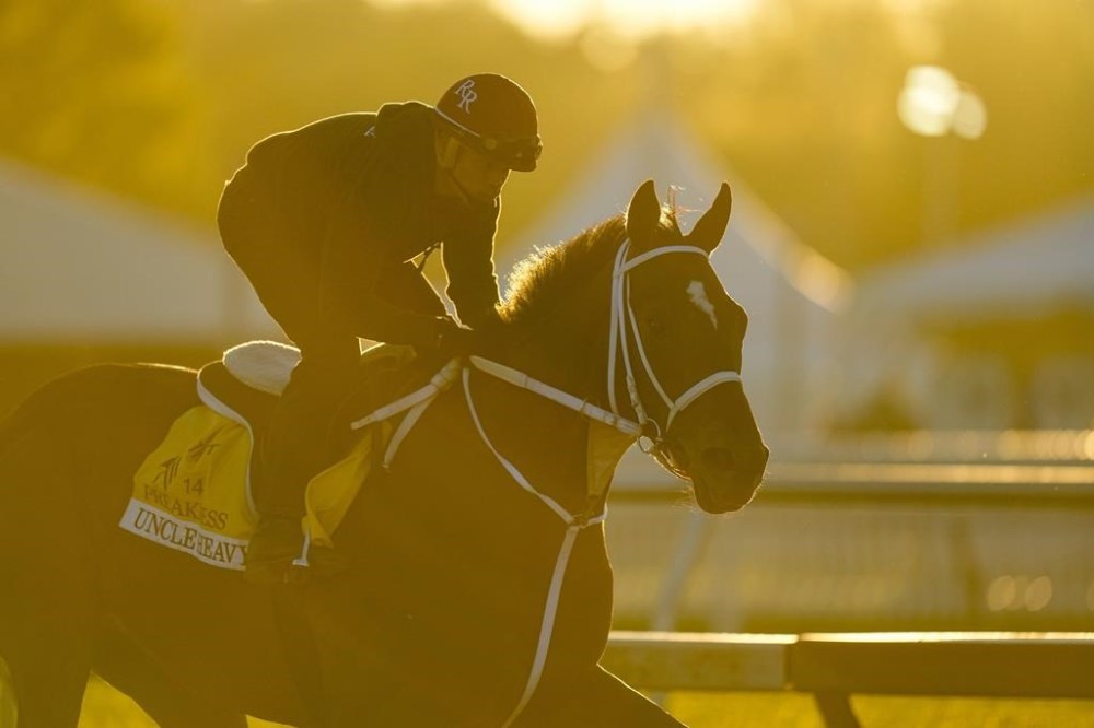 Preakness Stakes entrant Uncle Heavy works out ahead of the 149th running of the Preakness Stakes horse race at Pimlico Race Course, Thursday, May 16, 2024, in Baltimore. (AP Photo/Julio Cortez)