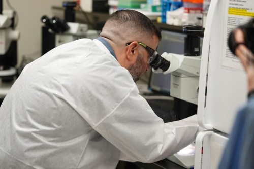 Researcher Erik Foster uses a microscope to examine a tick in his laboratory during a tour of the Center for Disease Control laboratory Thursday, April 4, 2024, in Fort Collins, Colo. (AP Photo/David Zalubowski)