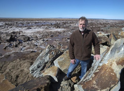 Three organizations that represent Acadians in Atlantic Canada are proposing that the Chignecto Isthmus be turned into a national park. John Atkinson, an area farmer and land owner, stands on a dike along the LaPlanche River near Amherst, N.S. on Wednesday, March 20, 2019. THE CANADIAN PRESS/Andrew Vaughan