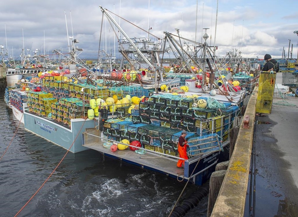 The federal Fisheries Department says it is investigating reports of fishing gear tampering in lobster fishing areas in eastern Nova Scotia. Fishermen load their traps in Lower West Pubnico, N.S., on Saturday, Nov. 28, 2020. THE CANADIAN PRESS/Andrew Vaughan