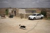 A dog runs on Meitarim, the farm outpost founded by Israeli settler Yinon Levi. Levi’s community raised money for him after he was sanctioned and couldn’t pay bills for weeks. (AP Photo/Maya Alleruzzo)