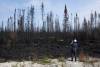 Adrian Wyld / Canadian Press
                                As forest fires spread and other climate change issues arrive, educators have a key role to play in setting the stage for climate action.