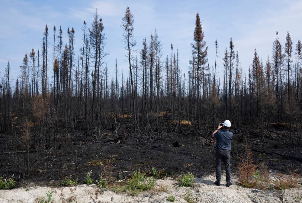 Adrian Wyld / Canadian Press
As forest fires spread and other climate change issues arrive, educators have a key role to play in setting the stage for climate action.