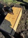 Barb and Donald Lair’s beloved Doberman, Tres, was buried after his sudden death, while the couple’s other Doberman, Billy Jean looks at the coffin. (Submitted)