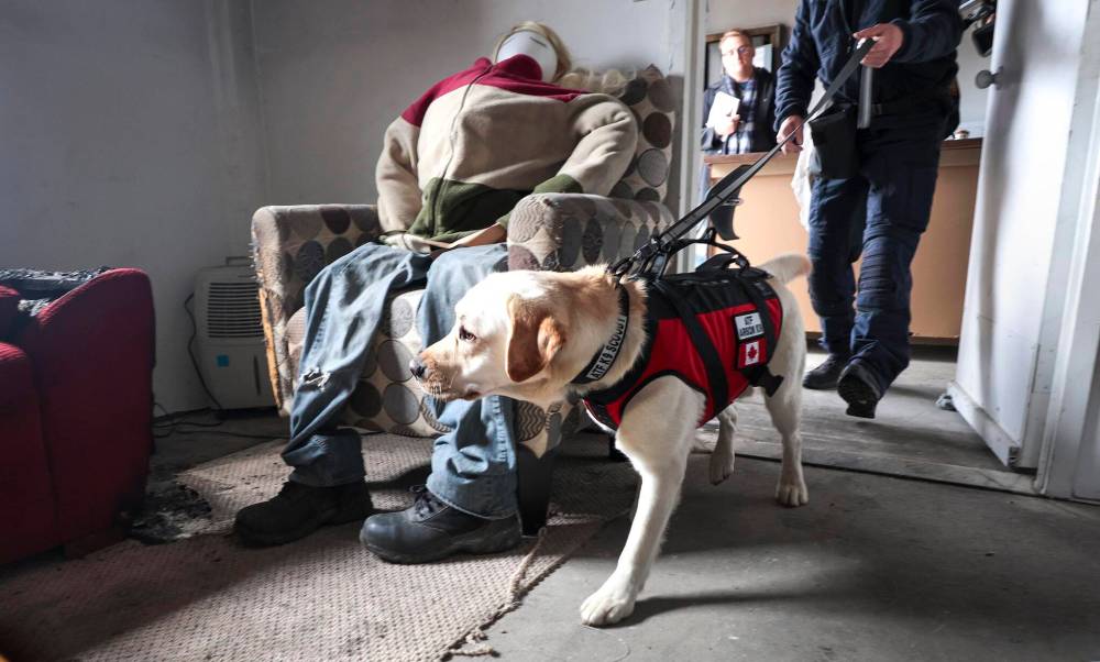 RUTH BONNEVILLE / FREE PRESS
                                Scooby snoops through areas mocked up as possible arson fires to find an accelerant with his trainer.