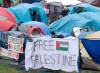 Pro-Palestinian protests have popped up at several Canadian campuses in recent days, including at McGill University. (Ryan Remiorz / The Canadian Press)