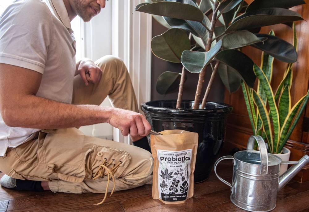 Wastenot Farms
Jocelyn’s Soil Booster worm manure, a natural soil additive with beneficial microbes, can be used for indoor or outdoor plants.